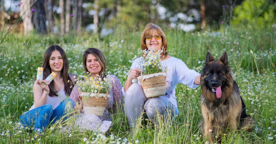 Causes of Eczema: What Triggers It and How Can Chamomile Help?