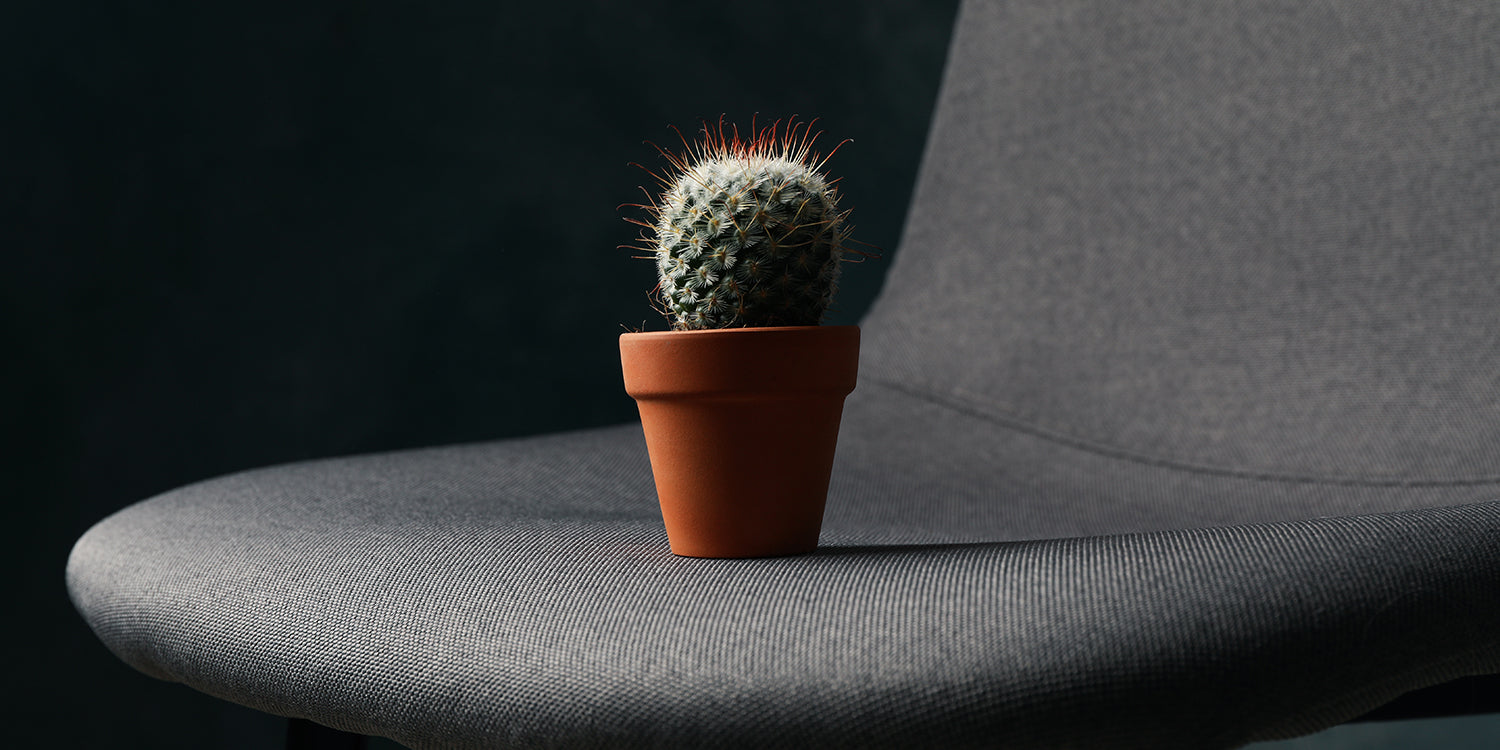 Haemorrhoids – Everything You Need to Know
