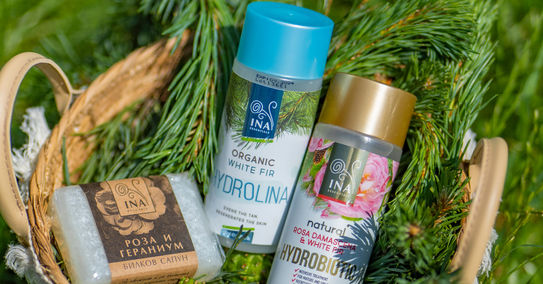 Natural products for hyperpigmentation care – Hyperpigmentation RoutINA™