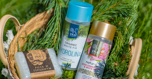 Natural products for hyperpigmentation care – Hyperpigmentation RoutINA™
