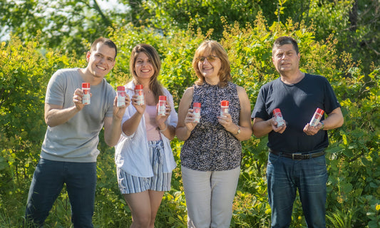 The Bulgarian Herb Against Bleeding Gums
