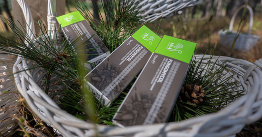 2-in-1 cream with White pine and urea for cracked heels, in a basket with pine branches