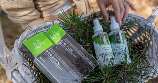 Cream for cracked heels and Organic White Pine Water in a basket in the pine forest
