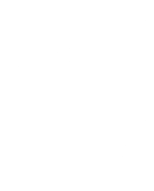InaEssentials.IE